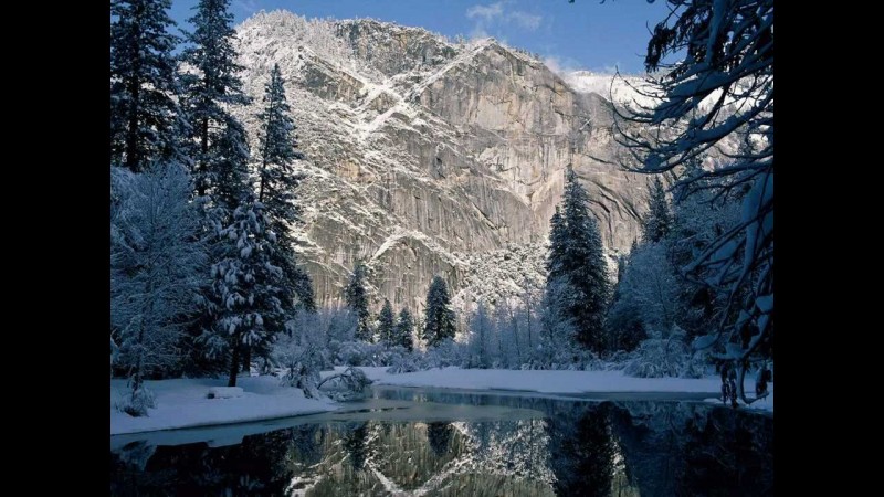 Svarga - Там, где дремлют леса