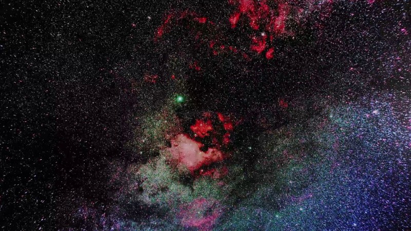 Обланин Изи О 8Рептилии