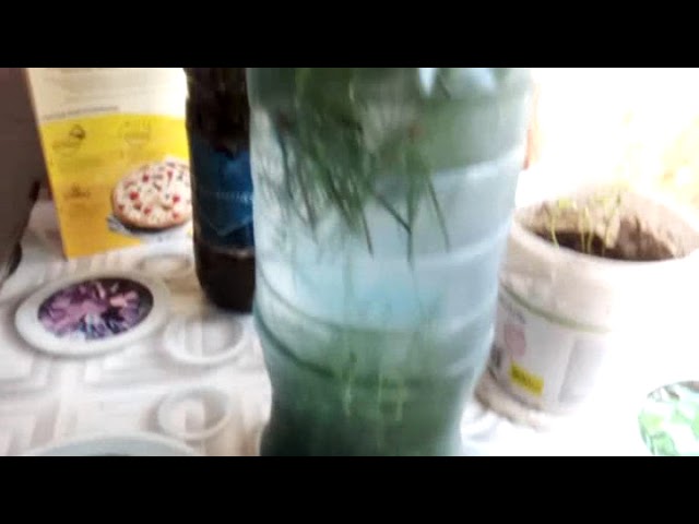 Быт и Ощущения в Существовыживании