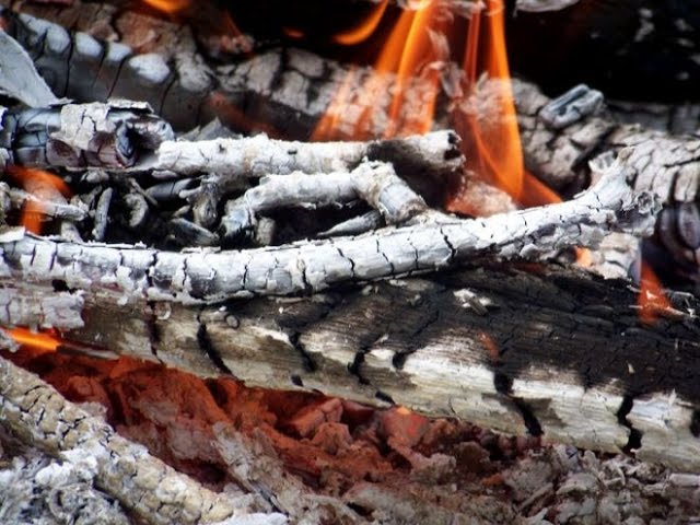 ЭТО НУЖНО ЗНАТЬ! ЗОЛА - ПАНАЦЕЯ ОТ ВСЕХ БОЛЕЗНЕЙ!