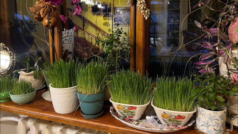 Начало нового года начался с хороших сюрпризов .