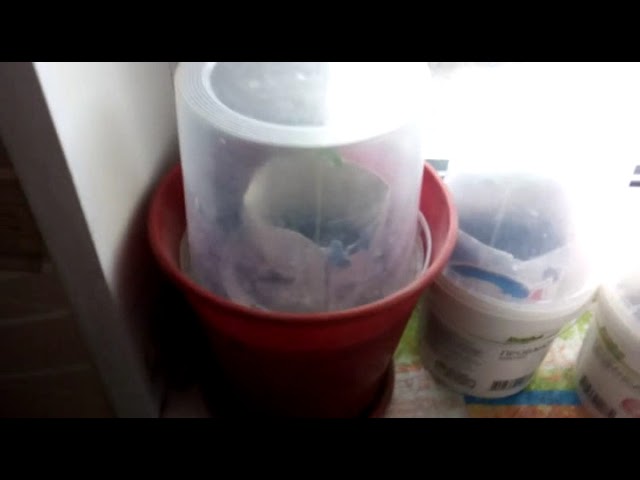 Малость и Левые прилёты от хпч