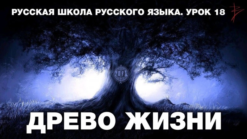 Русская школа русского языка. Древо жизни. Великий Новгород. Урок 18. Виталий Сундаков