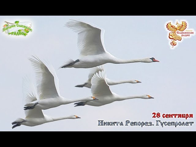 Братья Месяцы. 28 сентября - Никита Репорез.  Гусепролет