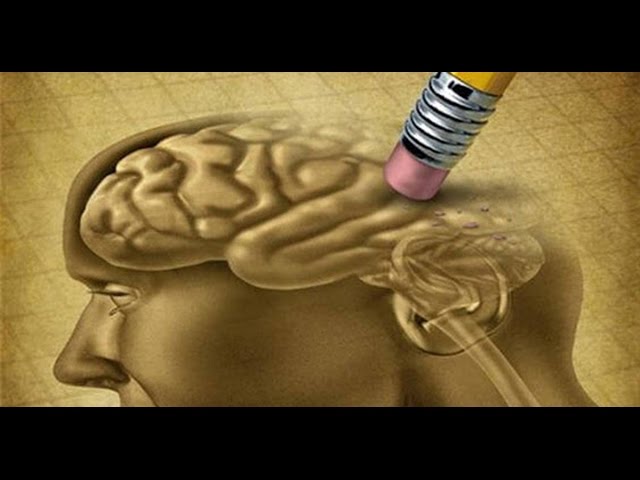 Школа дебилизирует детей. Роман Косарев