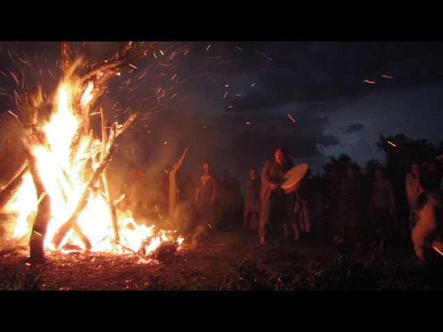 КОЛО ЛІСУ  \ Поднять Перископ!