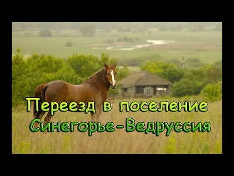 Переезд в поселение Синегорье-Ведруссия, Краснодарский край