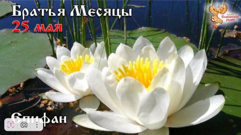 Братья месяцы 25 мая - Епифан