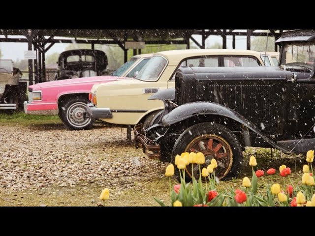 Всем Москвич! Москвичей много не бывает!