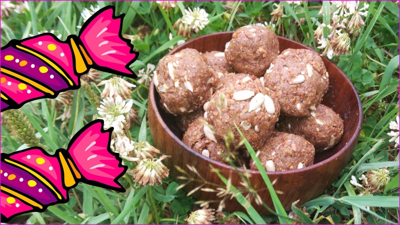 Конфеты из меда и льна - экопродукты из Родовых поместий