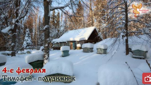 Братья Месяцы 4 февраля Тимофей -полузимник