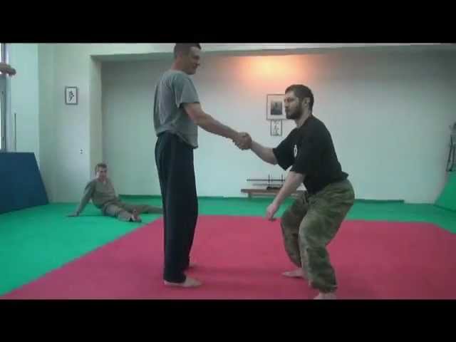 центр ГАМАЮН работа на "ядре силы"