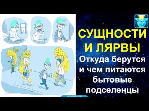Сущности и лярвы.  Откуда берутся и чем питаются бытовые подселенцы