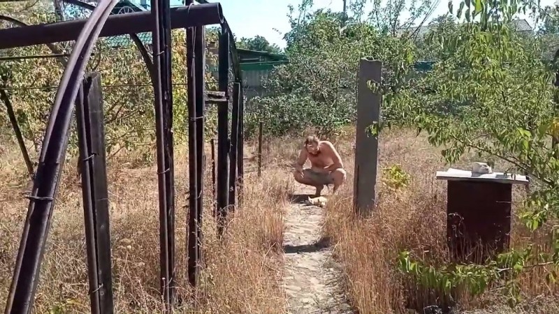 594 Яблонька, Кот Пришёл Погладиться, Стирка, Богомол