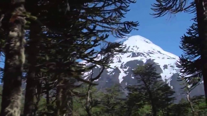 Велеслава Ведаю