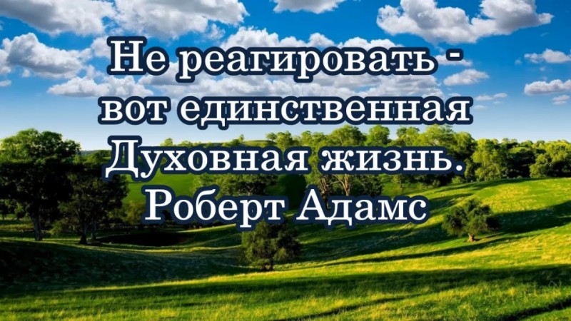 Не реагировать - вот единственная Духовная жизнь. Роберт Адамс