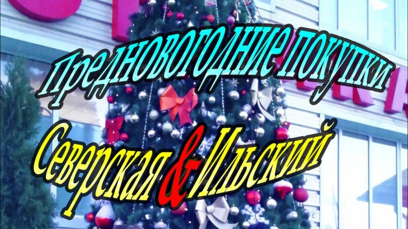 Предновогодние покупки Северская & Ильский