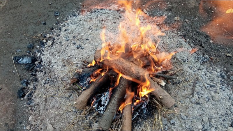 581 29.06.2025 СуперСолнцеСтояние День 9