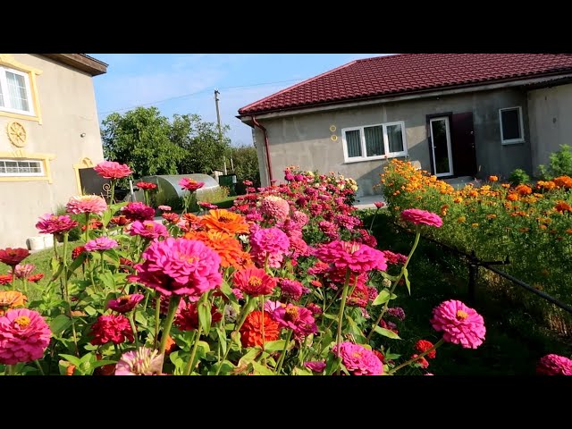 Сад цветов своими руками