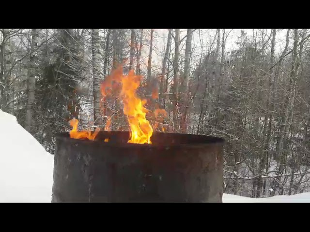 10 02 2024 Живой огонь для всёлетья