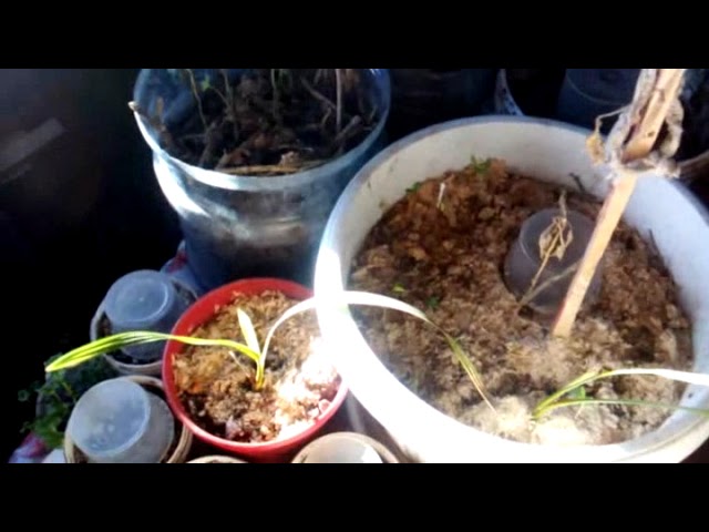 Гласение ни поймёшь о чём