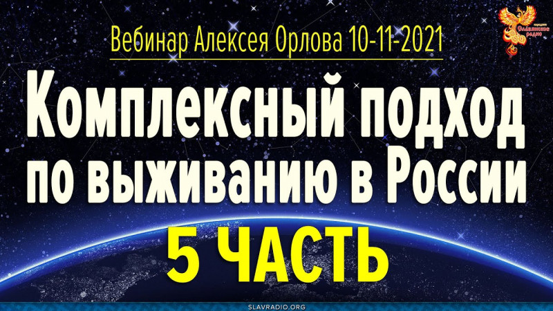 Комплексный подход по выживанию в России. Вебинар Алексея Орлова. Часть 5