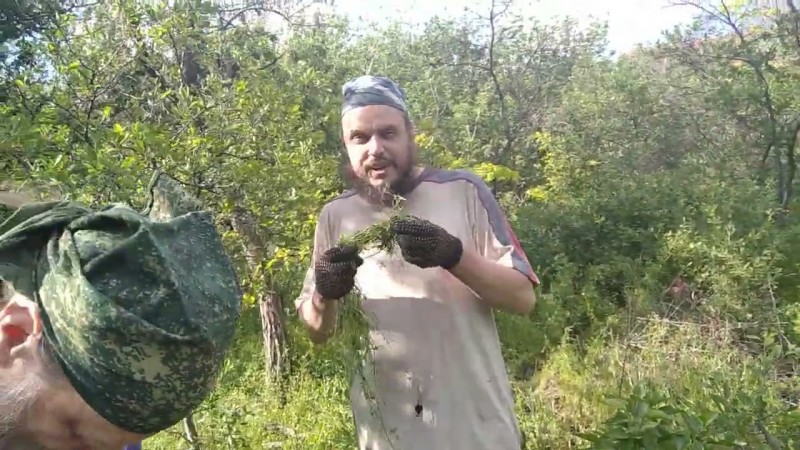 15.05.2025 Деяния.