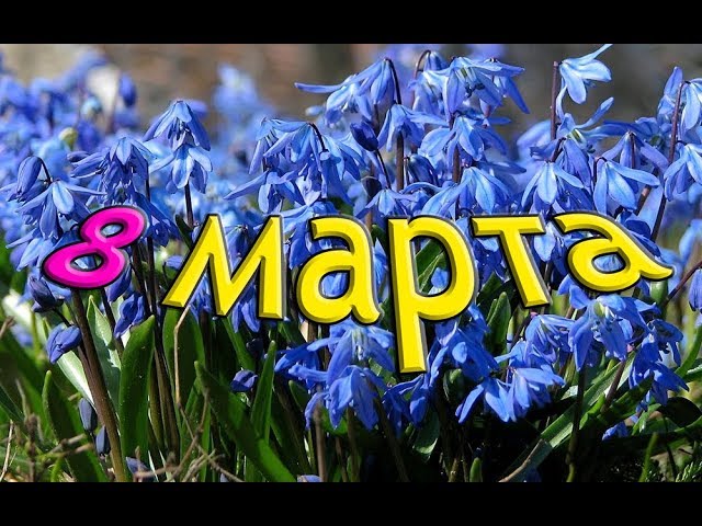 8 марта