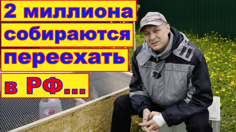 На 200 % больше обращений от русских немцев в консульства с просьбой о помощи уехать в Россию