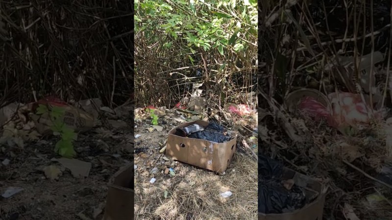 20 июля 2025 г.