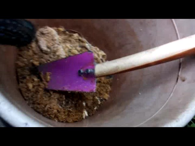 Мысли Средь Ивы в Цвету