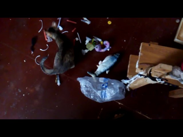 Один куй - бытовуха