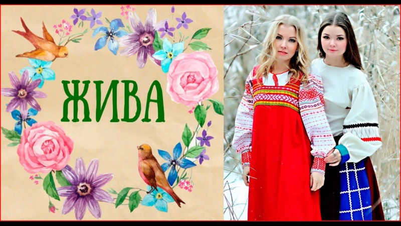 Фолк поп группа Жива с песней Ахой вишня