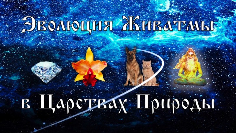 Путь эволюции Живатмы в Царствах Матери-Природы.