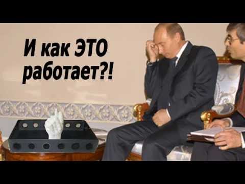 Звенящие кедры глазами очевидца - 1.