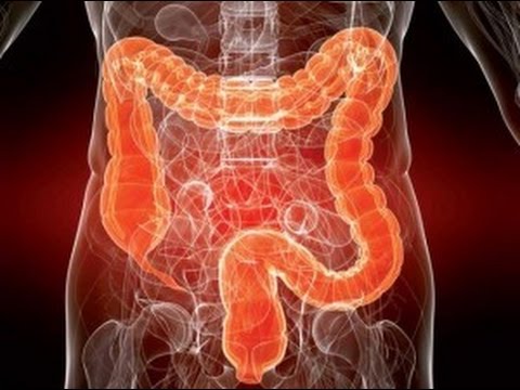 Опасность голодания с зашлакованным кишечником. Андрей Верба