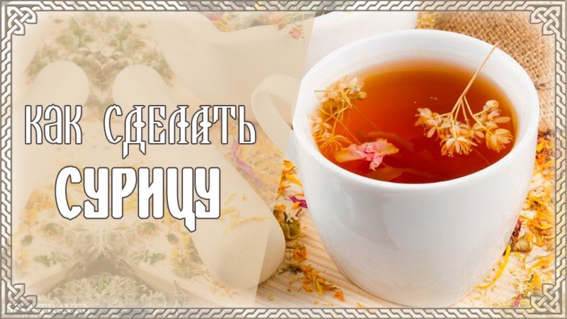 Катерина Веста: КАК СДЕЛАТЬ СУРИЦУ - НАПИТОК БОГОВ