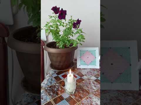 Изымаем фсе сценарии бывшых ваплатнений.....