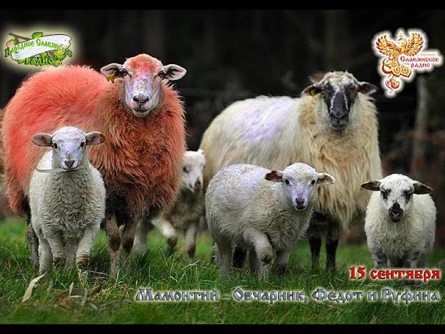 Братья Месяцы. 15 сентября -  Мамонт Овчарник, Федот и Руфина