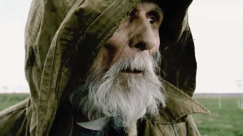 Небо видело всё