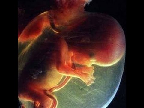 Бесплодие и болезни даже от малых доз алкоголя. Александра ДАРА