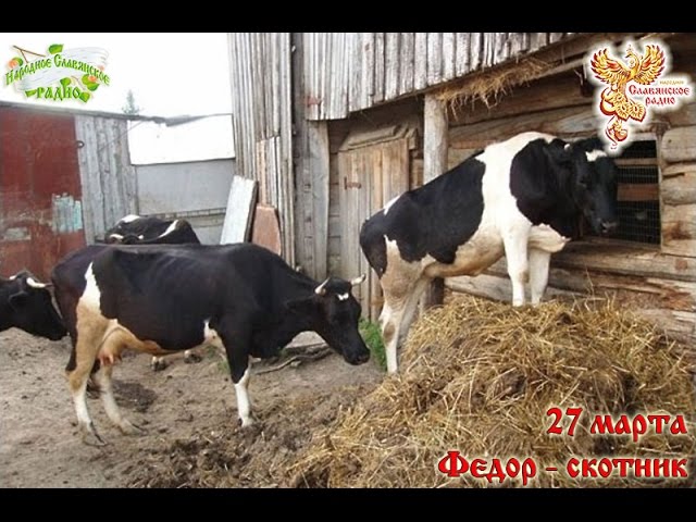Братья-месяцы. 27 марта - Федор-скотник