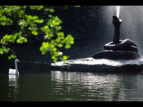 Что полезного ты дал миру сегодня. Денис Малинов