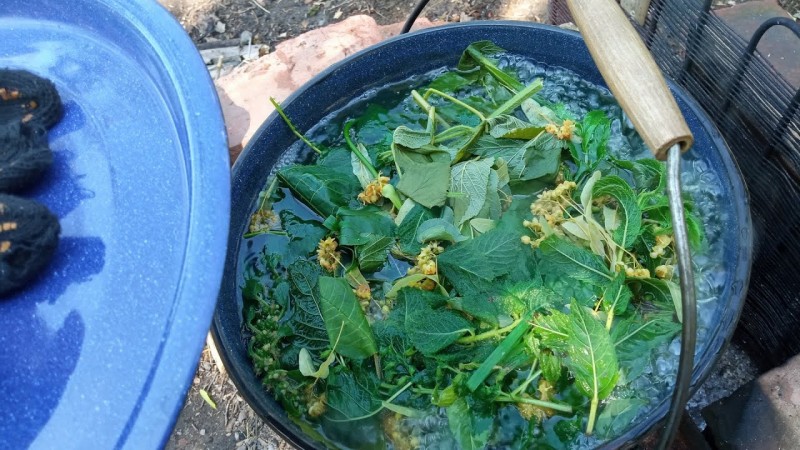 581 26.06.2025 СуперСолнцеСтояние День 6