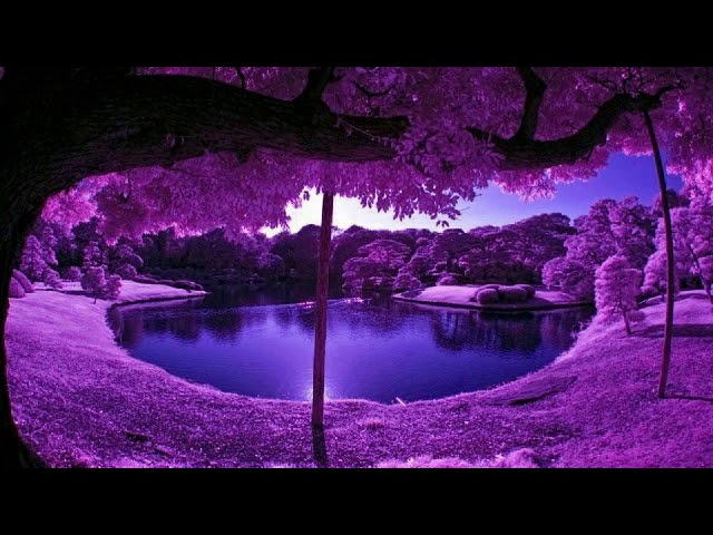 Говорят Камни (Вводная). Лаванда. Душа Деревенского Дома (26.09.2018)