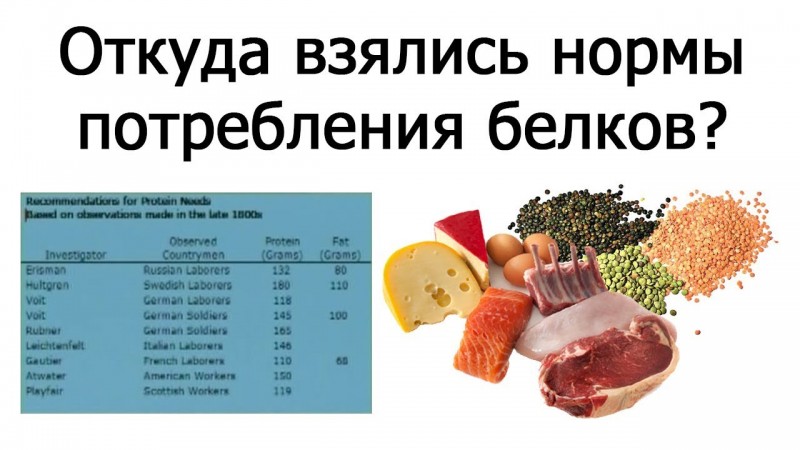 Нормы потребления белков человеком (Джон МакДугалл)