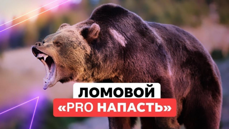 ЛОМОВОЙ - PRO напасть