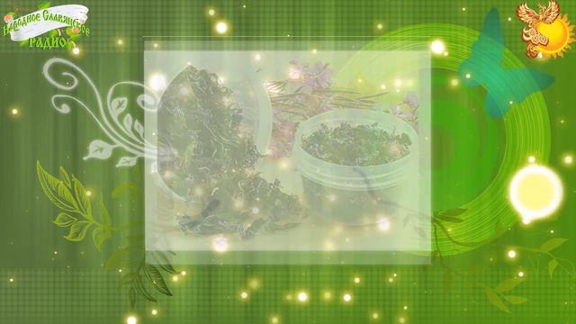 Братья месяцы 1 февраля Макар-весноуказчик