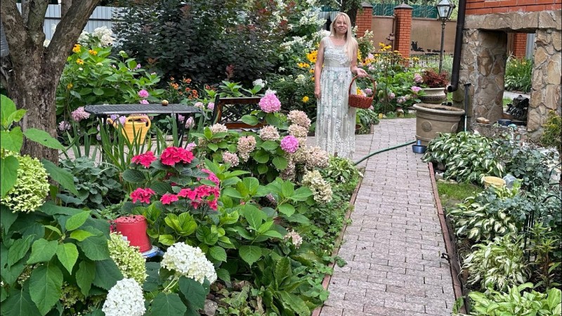 Выходные на даче . Об отдыхе на даче  можно только помечтать .