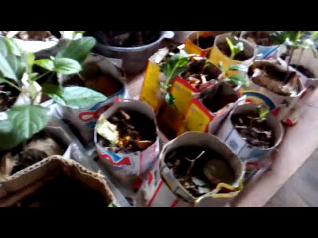 Весёлости и ниочень